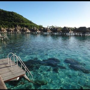 Meet your Posher, Harold